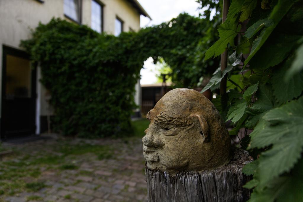 Pension Altstadt Borna Eksteriør bilde